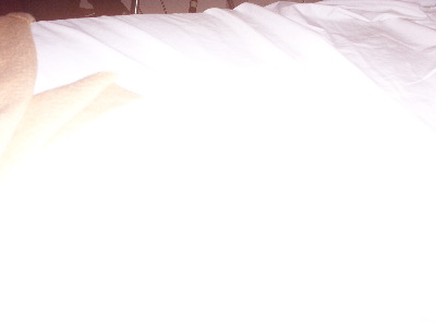 100_1650.JPG