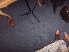 100_1056.JPG