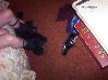 100_1608.JPG