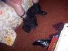 100_1609.JPG