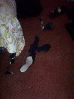 100_1622.JPG