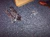 100_1048.JPG